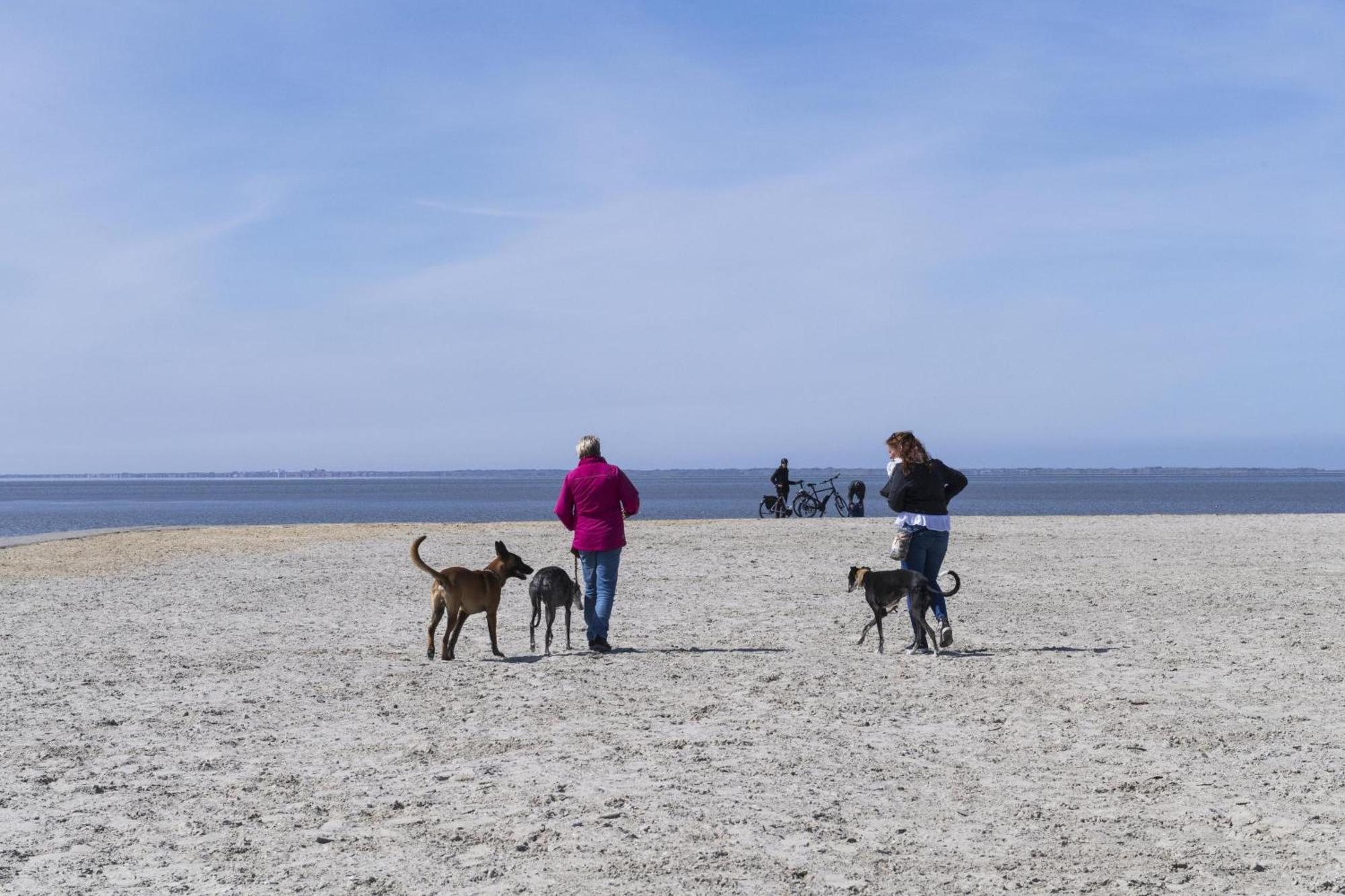 Pfoetchenparadies II Geestland Ngoại thất bức ảnh
